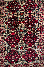 Red Persian - Design 1