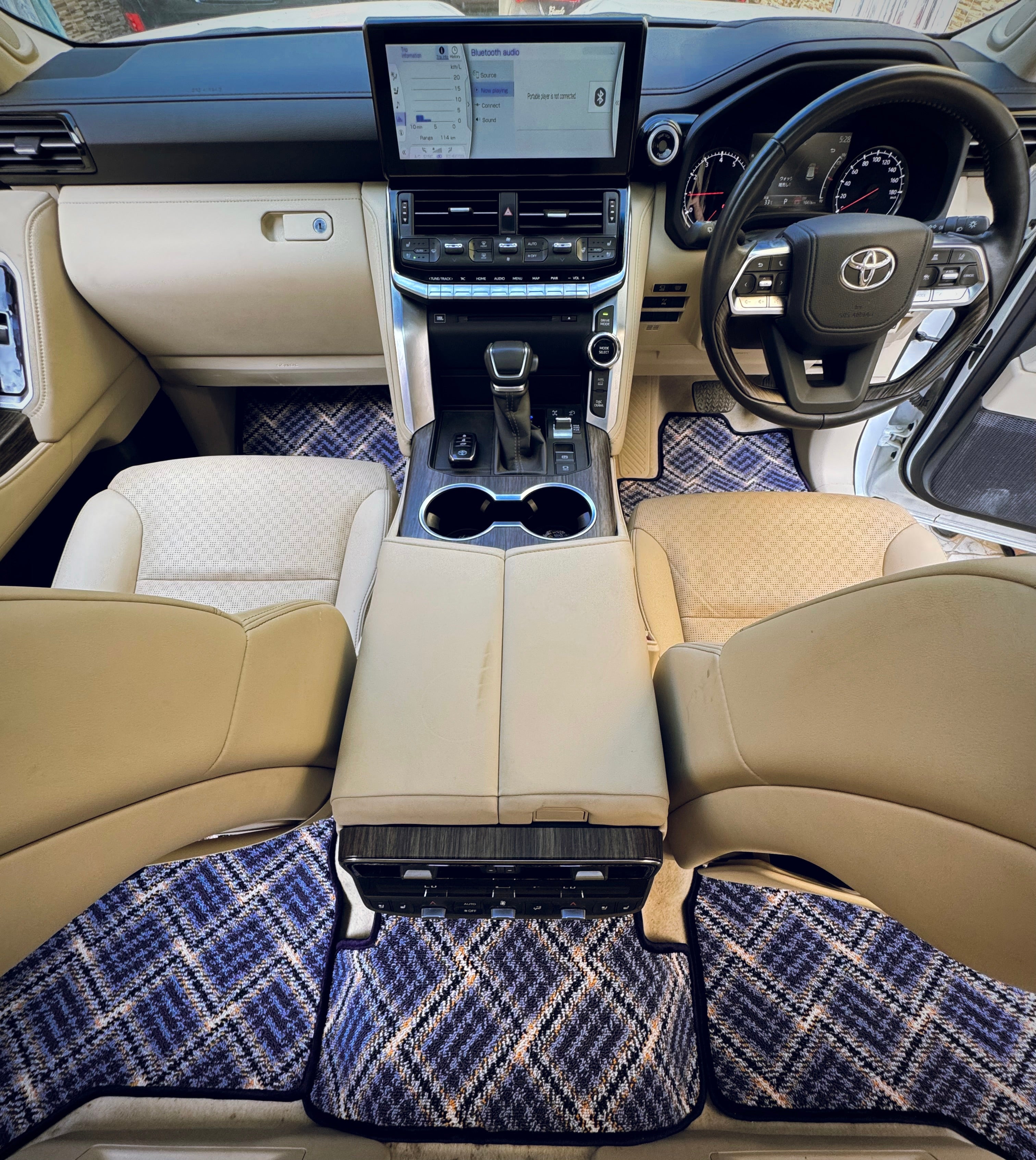 Bluemora Aura – Premium Kashmiri Rug Car Mats