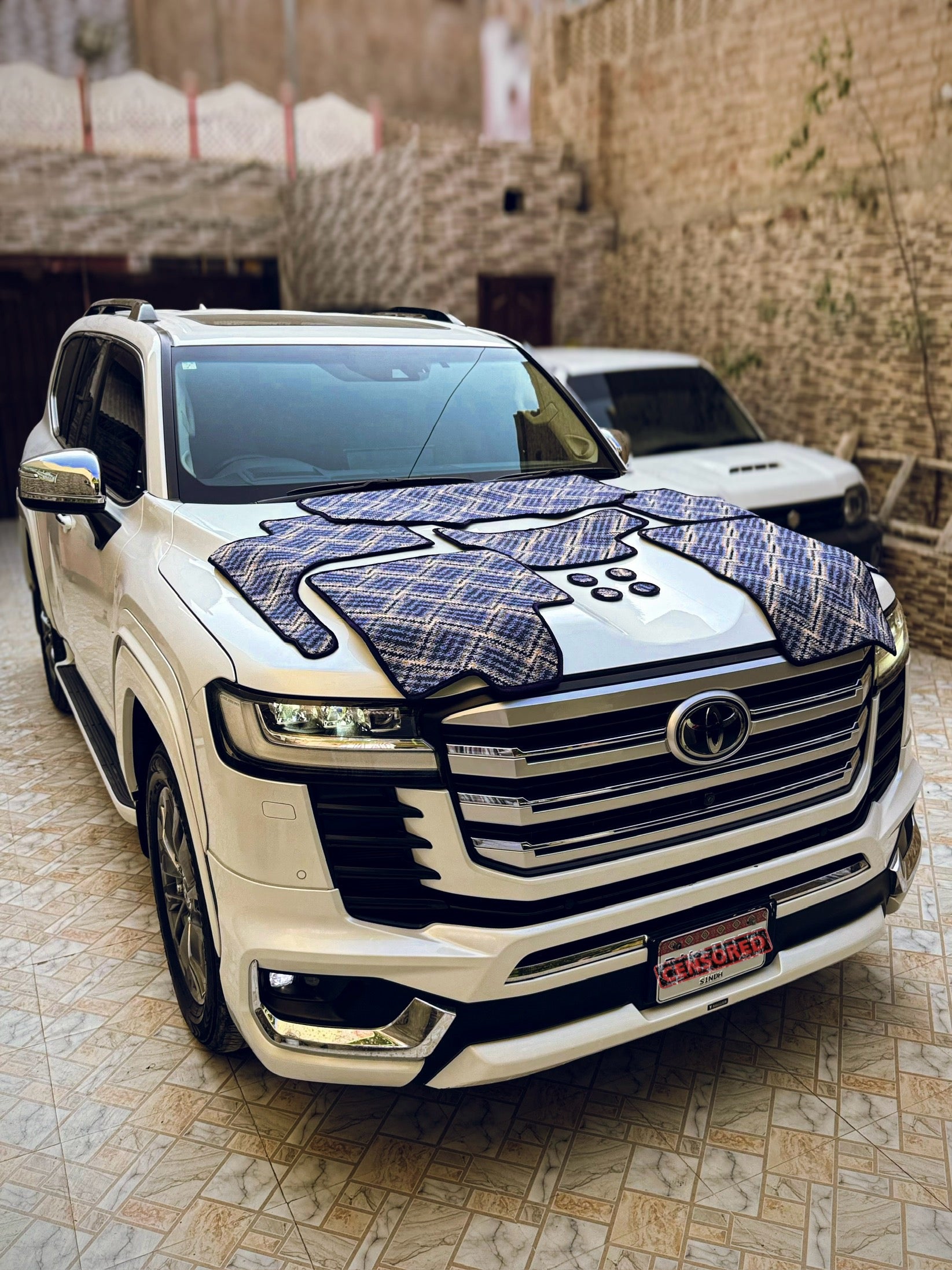 Bluemora Aura – Premium Kashmiri Rug Car Mats