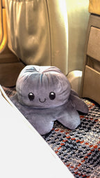 Slate Aura – Premium Kashmiri Rug Car Mats